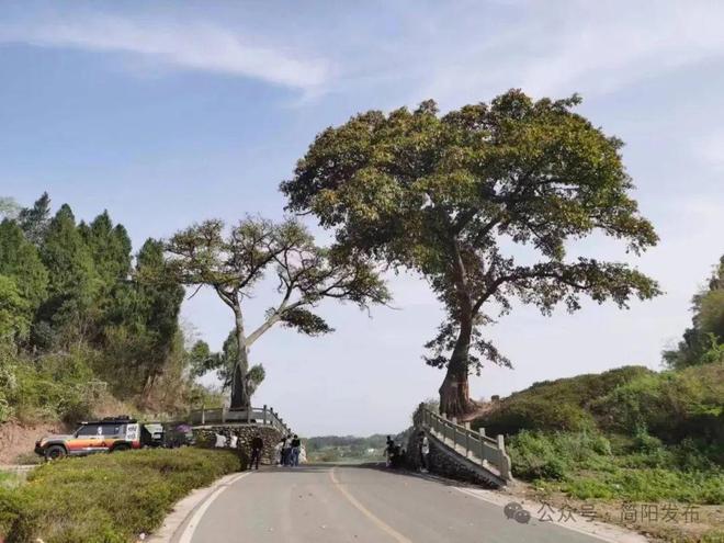 七夕至简阳的浪漫藏在这些地方